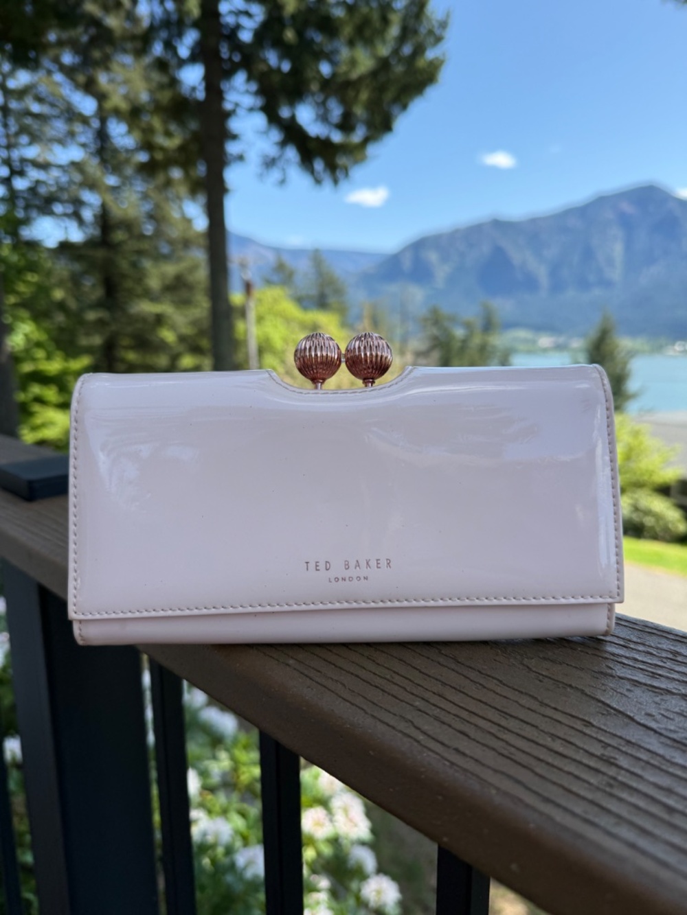 Ted Baker Odd Bauble Patent Matinee Wallet